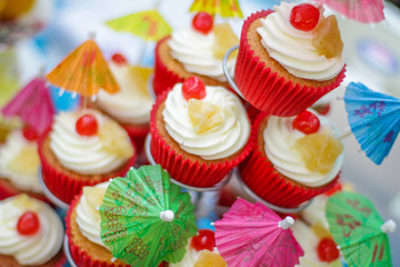 Beautiful selection of the cupcakes on the plates