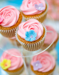 Beautiful selection of the  pinkcupcakes on the plates
