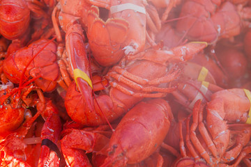 Close up of freshly boiled lobsters. Food lobster festival