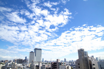 Fototapeta premium 東京の街並み