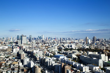 Fototapeta premium 東京の都市風景