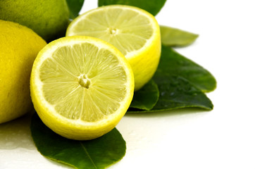 Fresh lemon from organic plantation field.