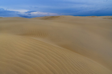Fototapeta na wymiar Desert dune and storm sky, Australia