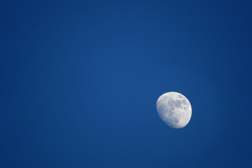 青空の月