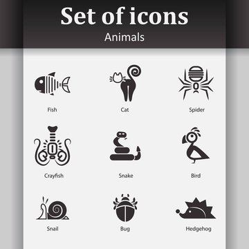 Set of icons in the form of abstract animals, insects and fish.