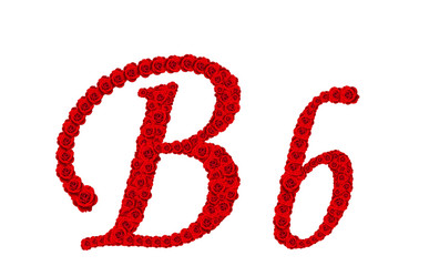 Rose alphabet - Alphabet letter B and b made from red rose bloss