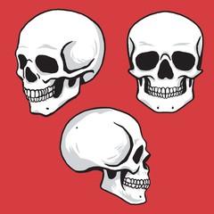 Skull Set Hand Drawing Vector Illustration