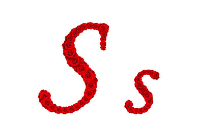 Rose alphabet - Alphabet letter S and s made from red rose bloss