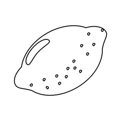 citrus lemon vitamin nature outline vector illustration eps 10