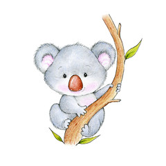 Cute Koala - 132781464