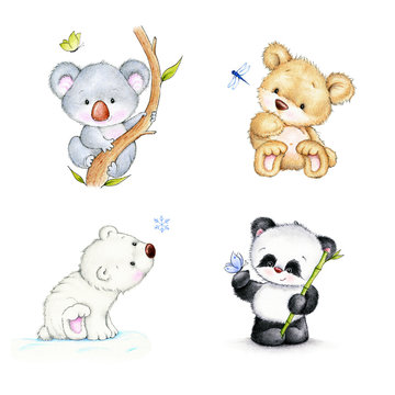 Set of bears - koala, panda, polar bear, Teddy bear