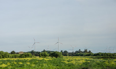 Fototapeta na wymiar Windmills in a Farm