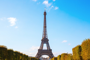 Obraz premium Eiffel Tower in Paris, France
