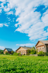 Obraz premium Landscape with Russian wooden houses. Countryside