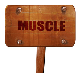 muscle, 3D rendering, text on wooden sign