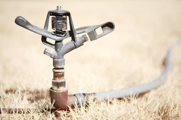Sprinkler in dry grass during a drought