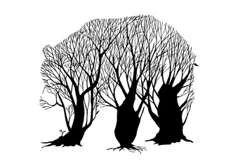Bear walking double exposure blend tree ink drawing for design tree wildlife concept tattoo silhouette vector.