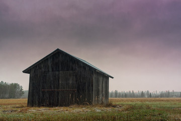 Autumn Snowfall In The Rural Finland