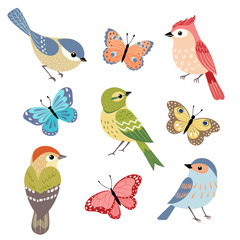 Set of colorful birds and butterflies isolated on white background. - 132787652