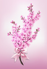 Vector beautiful spring blum sakura branch with flowers and pink silk bow