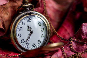 Antique pocket watch on autumn leave background, Time passing concept