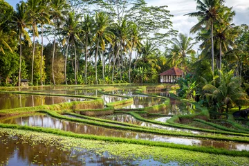 Gartenposter bali Villa in ubud surrounded by Rice terraces © sculpies