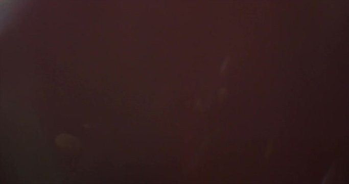 Light Leaks Element 287