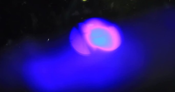 Light Leaks Element 288