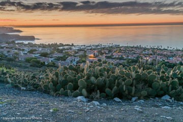 Fototapeta premium Sunrise over Rancho Palos Verdes with Catalina Island in the Beackground