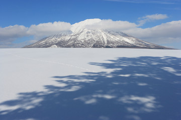 Fototapeta na wymiar 冬の羊蹄山麓