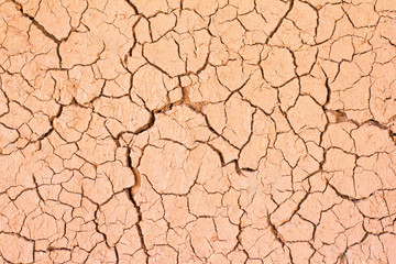The cracks of the ground.