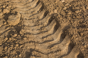 Ribbed tyre traces