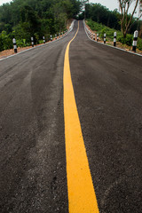 One yellow traffic line on the empty road.