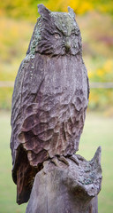 Owl wooden crafted sculpture