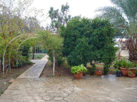 monastery agios nicolaos ton gaton in episkopi in cyprus