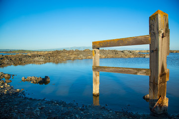 Wooden fence post in San Francisco Bay, salt ponds.