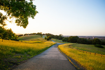 Path Through a Meadow in Stanford Dish Palo Alto California - 132798018