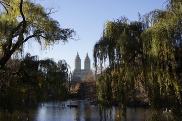 Fototapeta na wymiar Central Park New-York