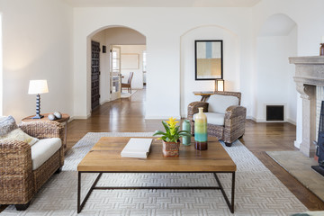 Designer Living Room