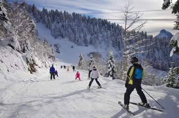 Abwaschbare Fototapete sports d'hiver - ski de piste © minicel73