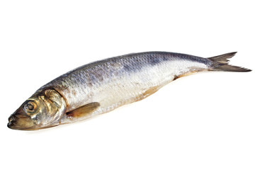 Salted herring fish isolated on white background