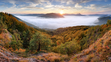 Obraz premium Forested mountain slope in mist in a scenic landscape.