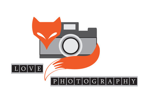 vector illustration of fox with retro camera