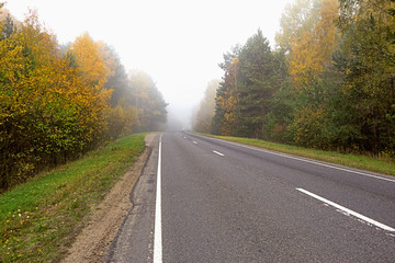 Fototapeta premium Autumn scenery in the forest outside the city.