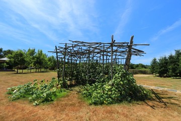 THE GARDEN OF The WRITER COLETTE, VARETZ, CORREZE, FRANCE

