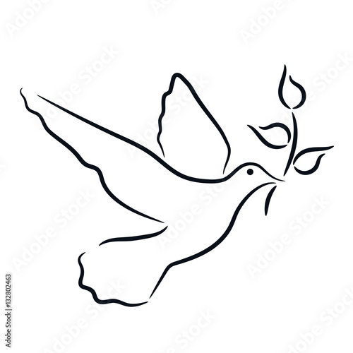 "Friedenstaube " Stockfotos und lizenzfreie Vektoren auf Fotolia.com