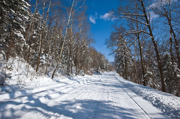 The winter road through the snow-covered wood in the bright afternoon.