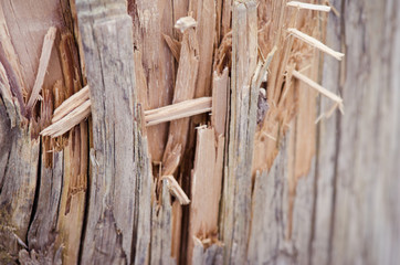 Splintered wood