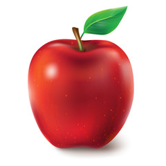  illustration of a juicy apple