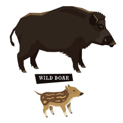 Wild animals collection Wild boar Geometric style